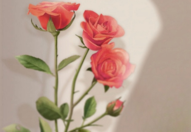 祝天下女神們節(jié)日快樂?。?！